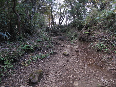20181025hike (144)